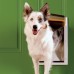 Утепленная дверца для домашних животных -  Extreme Weather Pet DoorTM - размер L