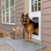 Утепленная дверца для домашних животных -  Extreme Weather Pet DoorTM - размер ХL
